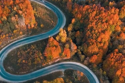 Orman yolu sonbaharda renk cümbüşüne döndü!