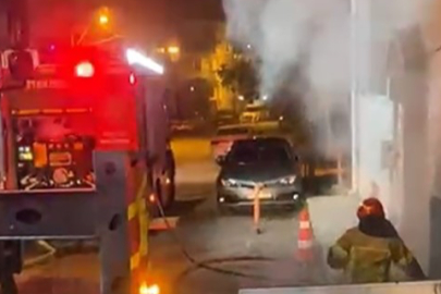 Beslediği Pitbull köpeğine eziyet etti