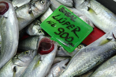 Geçen sene bollukta olan palamutun yerini lüfer aldı