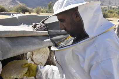 "Dünya Birinciliği" Unvanı Kazanan Karakovan Balının Hasadına Başlandı