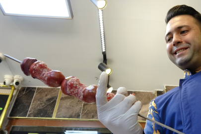 Her Derde Deva Olan Kebab...