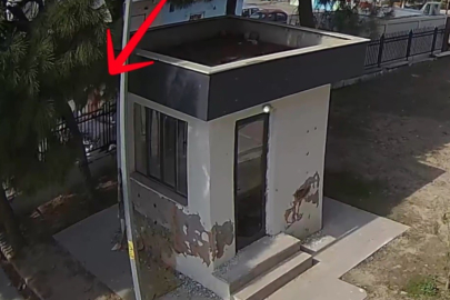 Cinayetin Sebebi Çocuklarmış ...