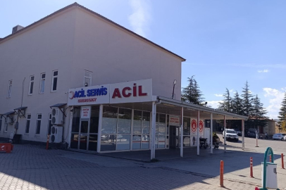 Arı Soktu Canından Oldu!