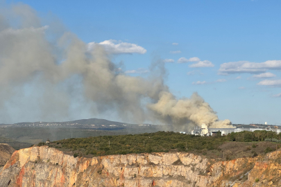 Gebze'de fabrika bahçesinde korkutan yangın