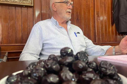 Gemlik zeytini dünya yolunda