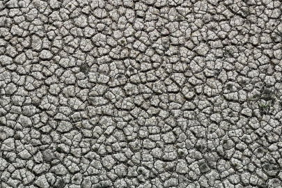 Seyhan Baraj Gölü Kurudu