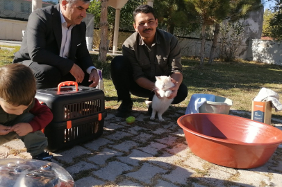 Cami İmamı Kedilere Adeta Bebek Gibi Bakıyor