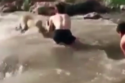 Anne köpek, vatandaşların çabasıyla kurtarılarak yavrularına kavuştu