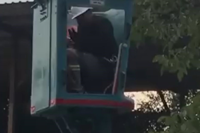 Vinç Üzerinde Bir Anda "Arı Saldırısına" Uğradı