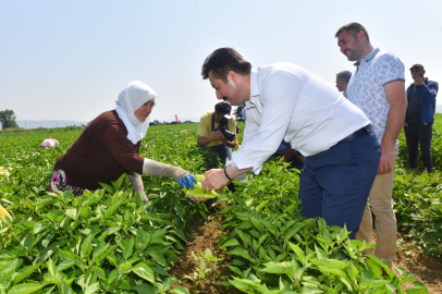 Yenişehir'de 12 bin kişiye iş imkanı!