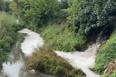 Karsak Deresi’ne karışan kirli su, Gemlik Körfezi’ne kadar ulaşıyor