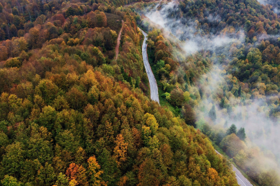 Sonbahar güzelliği Çam Dağı'nı sardı: Renk cümbüşü sisle buluştu