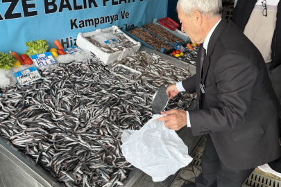 Denizlerde Hamsi Bolluğu...