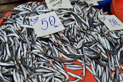 Balıkçılardan "Sigaradan ucuz hamsi" çağrısı