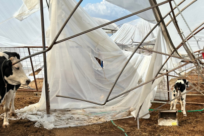 Şiddetli Yağış ve Fırtına Seralara Zarar Verdi