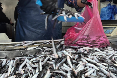 Tezgahlarda hamsi bolluğu