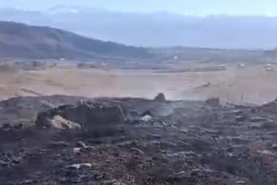 Anız Yangını Panik Yarattı