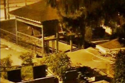 Zonguldak’ta mezarlıkta iki ayı yavrusu görüldü