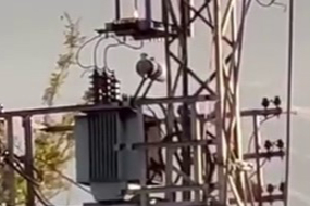 Elektrik Trafosu Alevlere Teslim Oldu