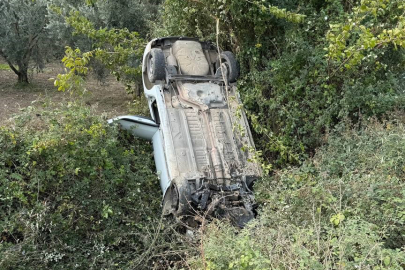 Sollama kazaya neden oldu: Zeytinliğe uçtu