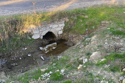 Yürek burkan olay: Boş arazide yenidoğan bebek cesedi bulundu