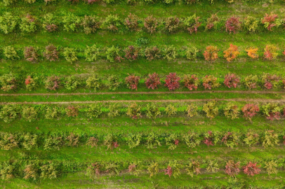  Uludağ’ın eteklerinde sonbaharın gelişiyle birlikte doğa mest edici bir tabloya dönüştü