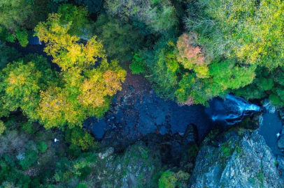 Gemlik'in saklı güzelliğinde renk cümbüşü