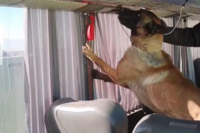 Ağrı'da Uyuşturucu Operasyonu