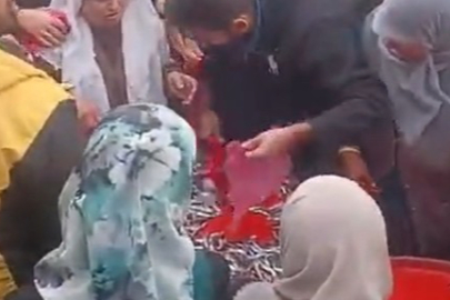 Ücretsiz Hamsiye Yoğun İlgi