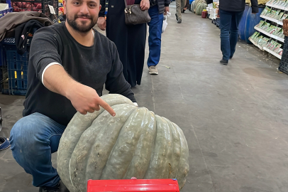 Sivas'ta ata tohumundan yetiştirilen dev bal kabağı ilgi odağı oldu