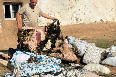 Gittikleri her yer yanıyor