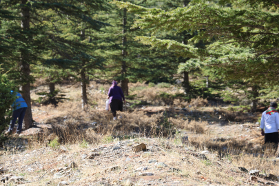 "Kadınlar sabah ezanında ormanda" 
