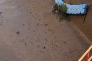 Baraj kapakları açılınca su bir anda çekildi: Yüzlerce balık telef oldu