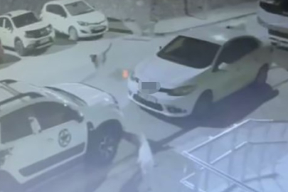 Başıboş sokak köpekleri, park halindeki otomobilin tamponunu parçaladı
