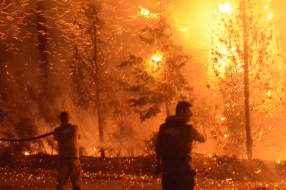 Çanakkale'de yanan ormanlar 2026 yılının sonuna kadar eski haline kavuşturulacak