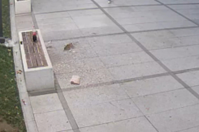 Hem temizlediler hem de ceza yediler