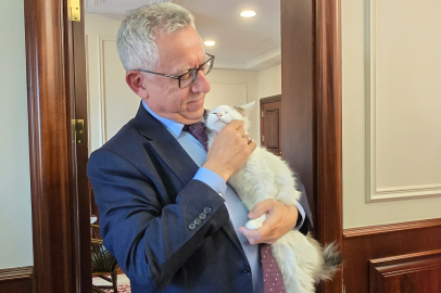 Yozgat Belediye Başkanı Kazım Arslan : "Makam odasında 3 kedi, 6 yavru var, hepsine bakıyorum"