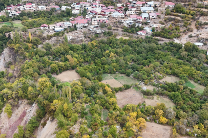 Diyarbakır’da baraj havzasında kalan köy, Akdeniz ve Karadeniz iklimi meyvelerini veriyor