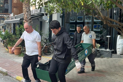 Otel Odasında Sır Ölüm