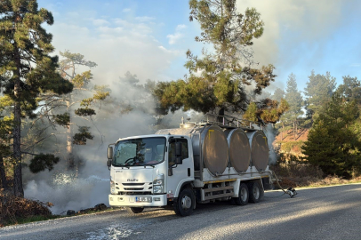 Ormanın yandığını gören sürücü, alevlere süt sıkarak yangının büyümesini önledi
