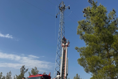 25 Metre Yükseklikte Mahsur Kaldı