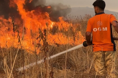 Yüksekova Kuş Cenneti Alev Alev Yanıyor