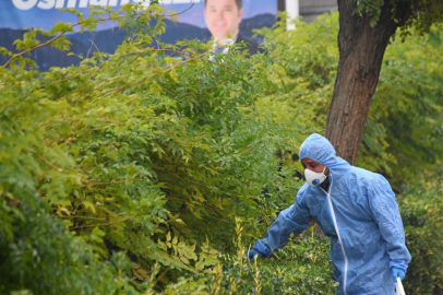 Osmangazi’de ilaçlama çalışmaları sürüyor