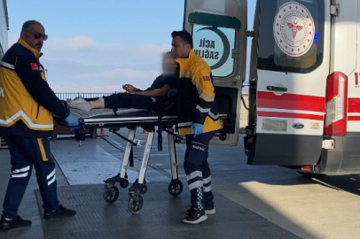 13 yaşındaki kız, sokak köpeklerinin saldırısına uğradı