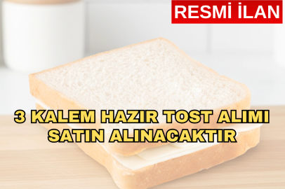 3 KALEM HAZIR TOST ALIMI SATIN ALINACAKTIR