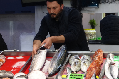 Hamsi ve sardalya vatandaşın gözdesi oldu