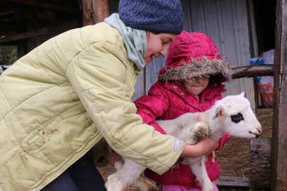 Kar yağışı beklentisiyle birlikte yaylalardan köylere kış göçü başladı