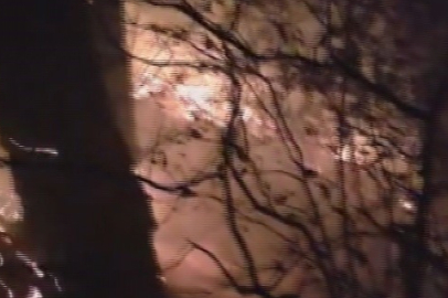 Hatay'da Orman Yangını