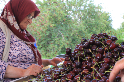 Türkiye, yurt dışında birçok sektöre ham madde sağlıyor
