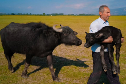 Fırın ustası bu kare ile ödül kazandı! Paris'e gitmek isteyince öyle bir şok yaşadı ki